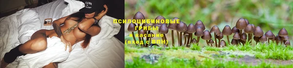 ECSTASY Балахна